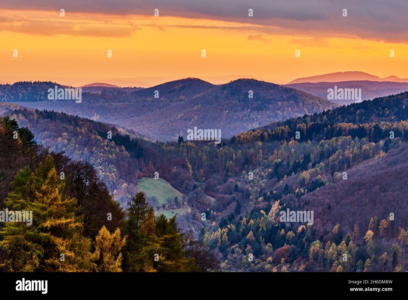 Autunno paesaggio di montagna al crepuscolo. Vista sulla valle. Foresta mista , bellissimo cielo arancione poco dopo il tramonto. Area protetta Vrsatec, Slovacchia. Foto Stock