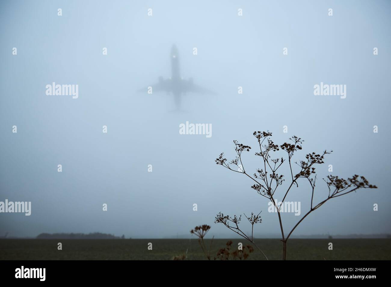 Aereo che si avvicina per l'atterraggio durante la giornata di autunno cupa. Silhouette di piano in nebbia fitta e fuoco selettivo sulla pianta. Foto Stock