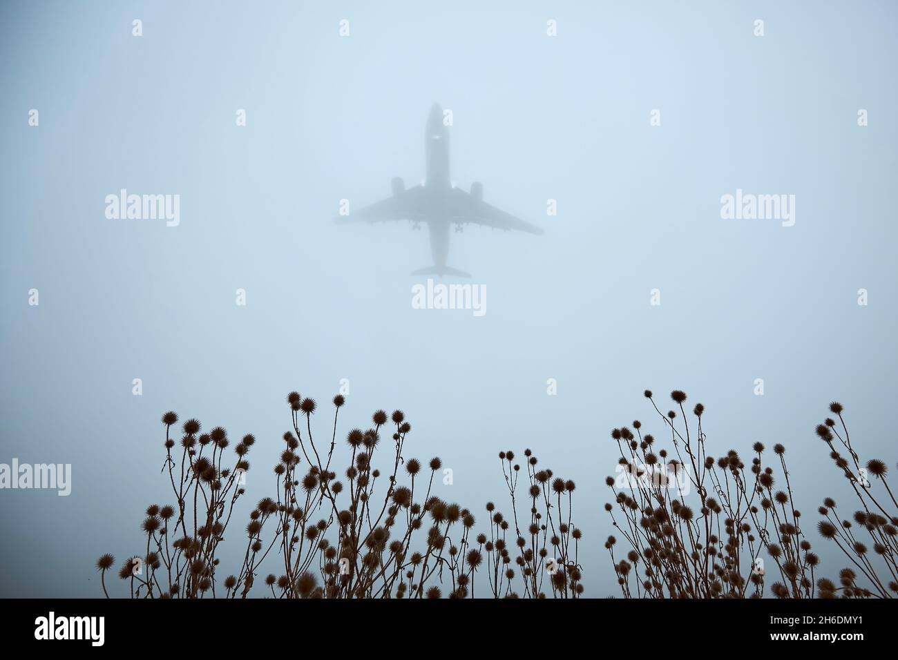 Aereo che si avvicina per l'atterraggio durante la giornata di autunno cupa. Silhouette di piano in nebbia fitta e fuoco selettivo sulla pianta. Foto Stock