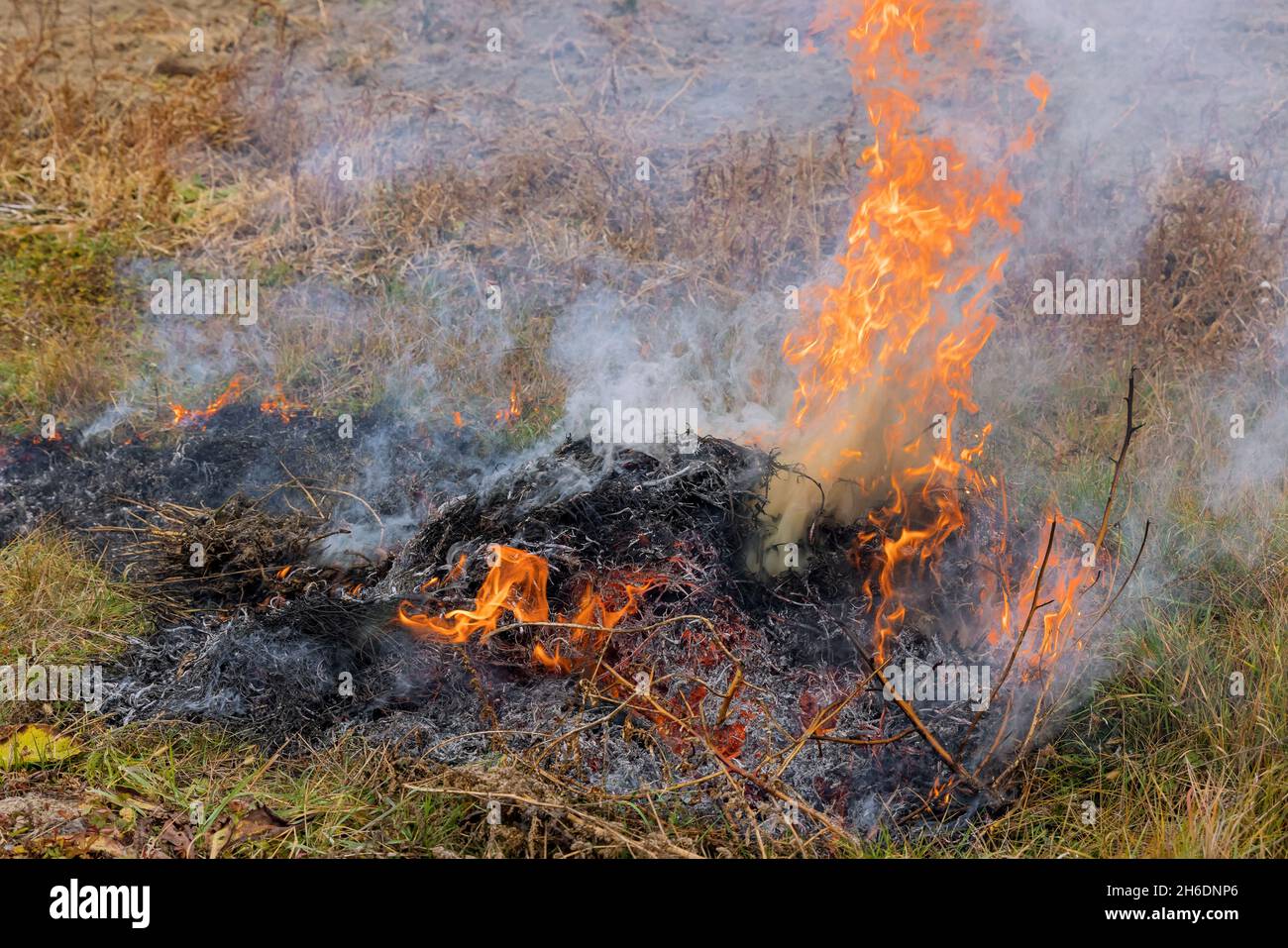 Fuoco che brucia di erba secca fumo da bruciare foglie bruciare è cattivo Foto Stock