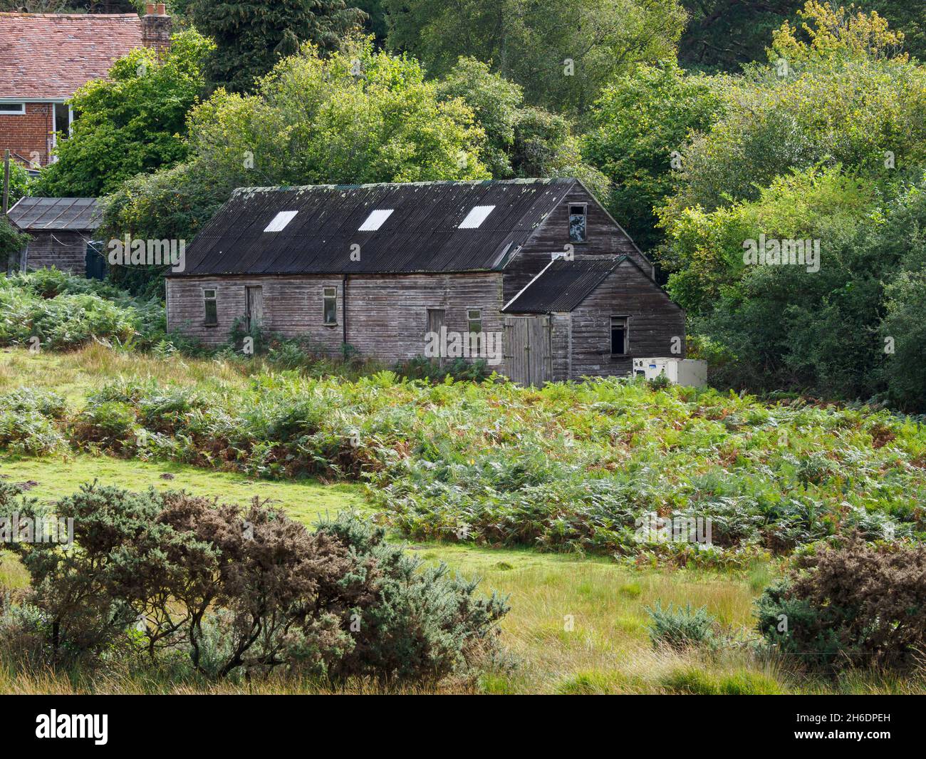 Rustico vecchio capanna di legno, la New Forest, Hampshire, Regno Unito Foto Stock