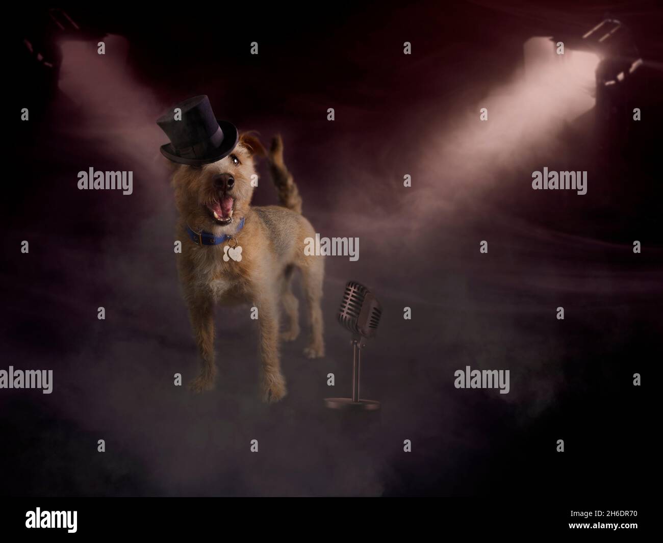 Immagine fantasy di un cane rock star. Foto Stock