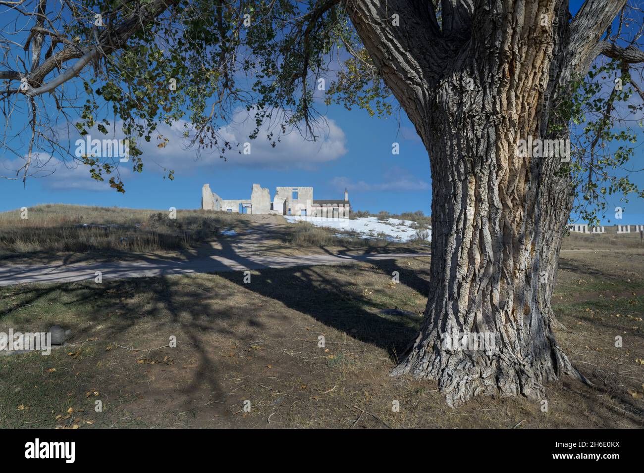 Il Post Hospital incorniciato da un vecchio albero di cottonwood a Fort Laramie National Historic Site a 965 Gray Rocks Road a Fort Laramie, Wyoming il 1 ottobre Foto Stock