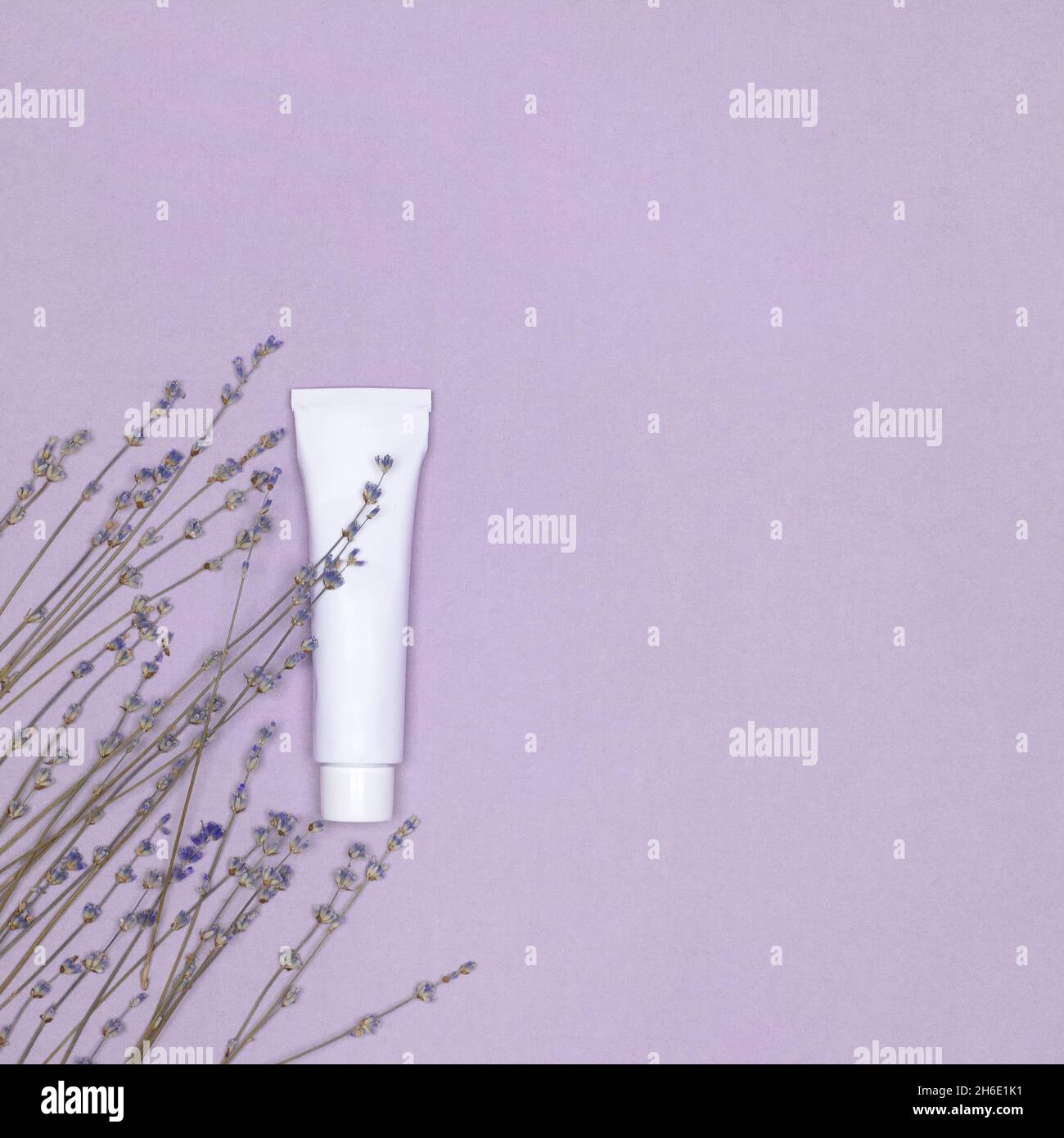Tubo bianco crema per la cura della pelle con fiori di lavanda su sfondo viola. Vista dall'alto. Spazio di copia Foto Stock