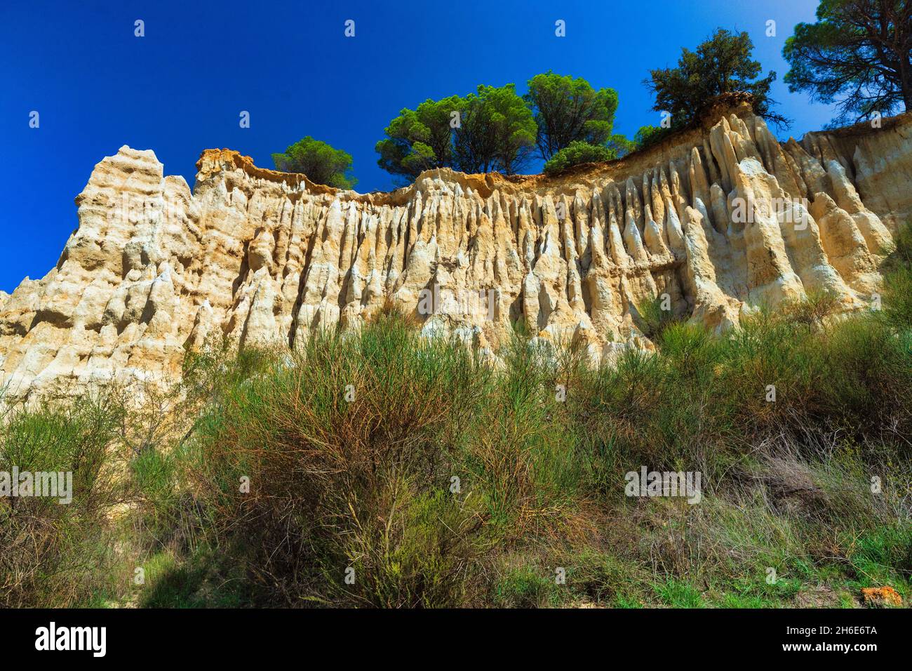 Formazione geologica di forma d'organo di Ille sur Tet nel sud della Francia Foto Stock