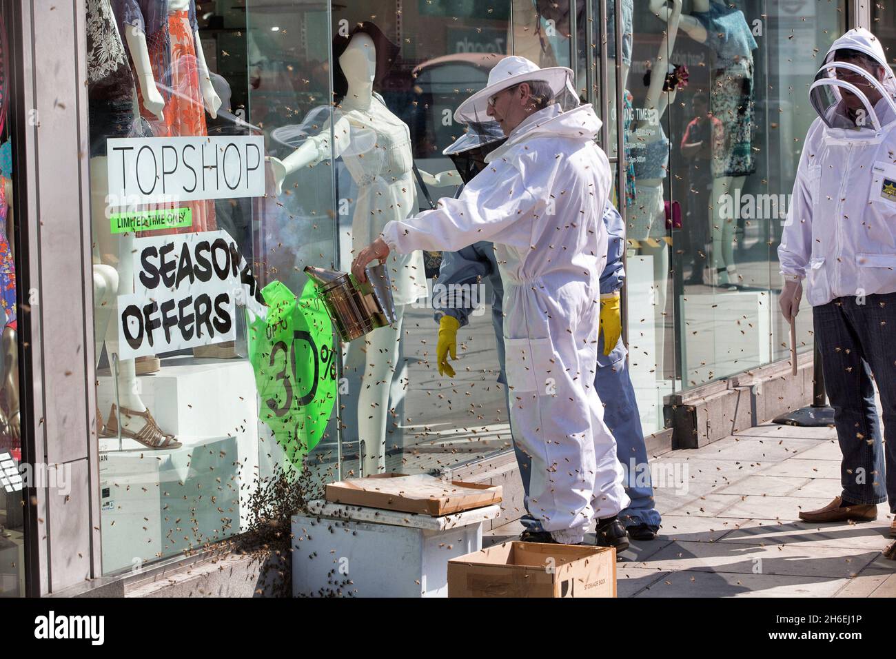 Una sciame di api ha intrappolato gli acquirenti e inviato pendolari che corrono per la copertura in un negozio Topshop Victoria, Londra questa mattina. Foto Stock