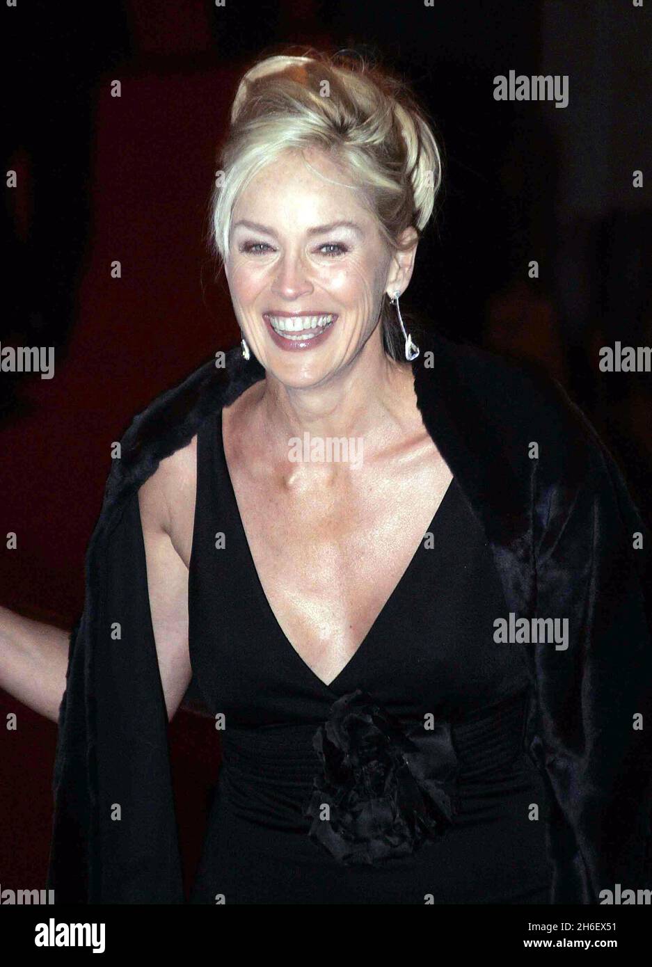 Sharon Stone partecipa al World Film Premiere per Basic Instinct II: Risk Addiction al Vue Leicester Square di Londra. Jeff Moore/allactiondigital.com Foto Stock
