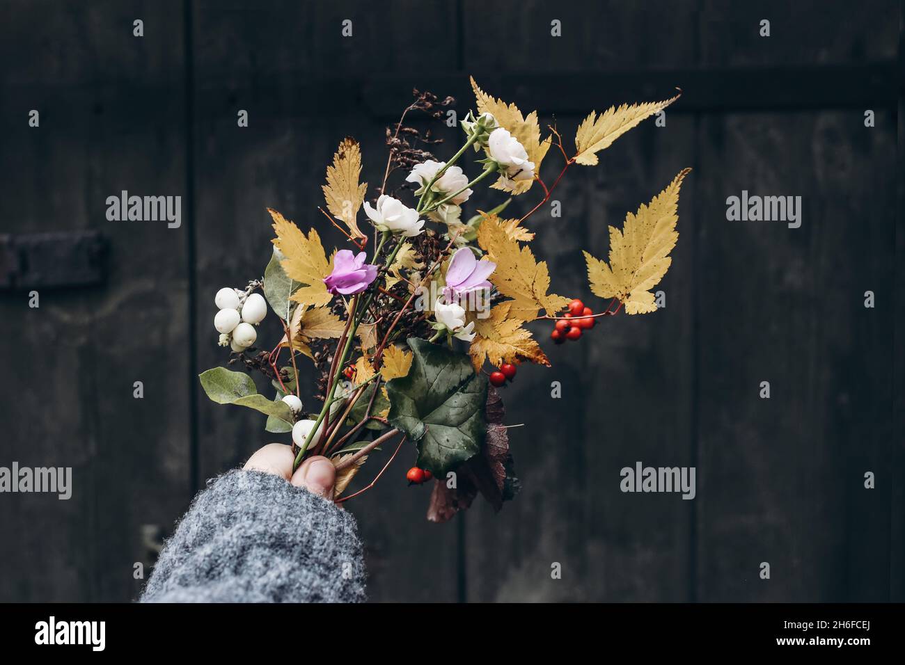 Foto di scorta con stile. Composizione femminile autunnale. Primo piano delle mani della donna che tengono fiori e coloratissimo mazzo di foglie d'autunno. Ciclamino rosa e rosso Foto Stock