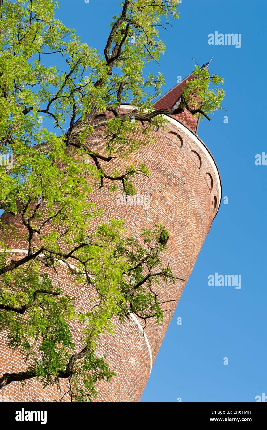 Torre Piast, costruita sotto Bolko i di Opole, circa 1300, Opole, Polonia Foto Stock