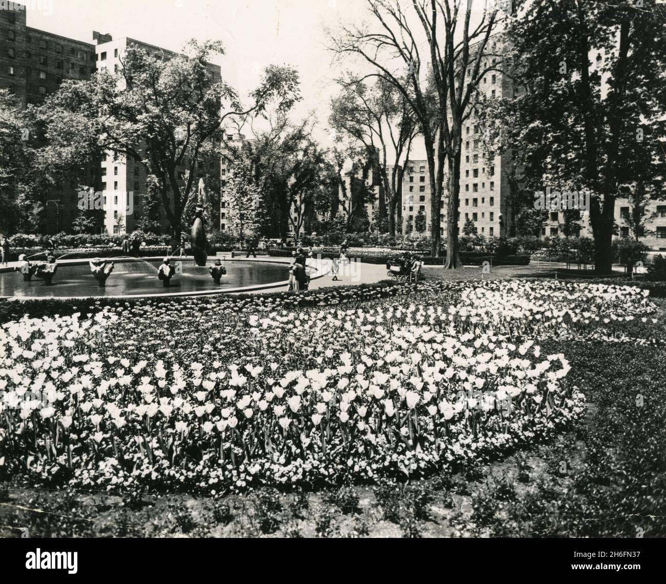 Uno dei 5 parchi della comunità Parkchester nel Bronx, NY, USA 1955 Foto Stock