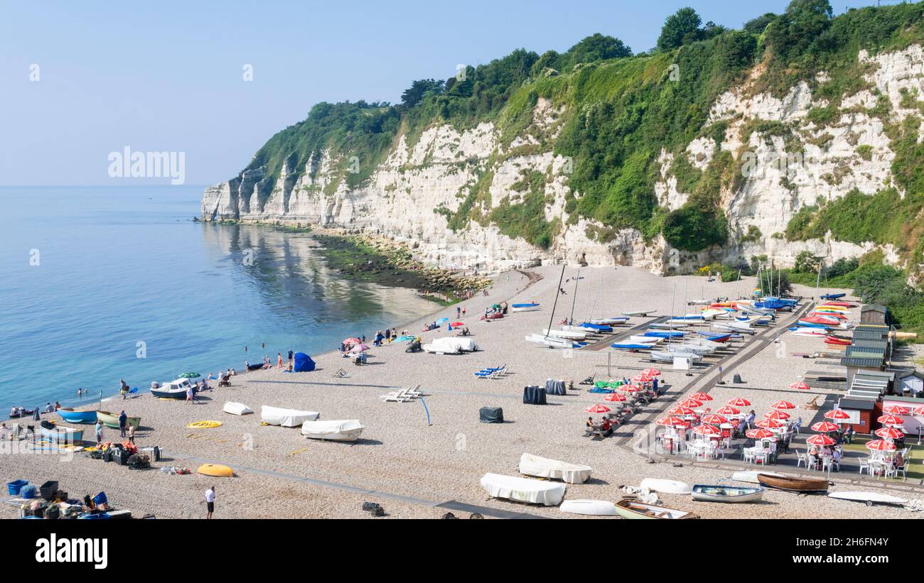 Beer Devon un sacco di persone si sono seduti sulla spiaggia di ciottoli tra le barche da pesca sulla spiaggia di Beer Devon Inghilterra UK GB Europa Foto Stock
