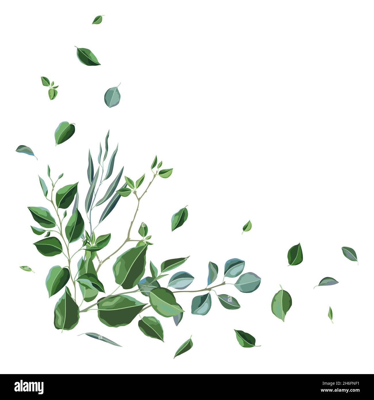 Decorazione con rami e foglie verdi. Foglie stilizzate in primavera o in  estate Immagine e Vettoriale - Alamy