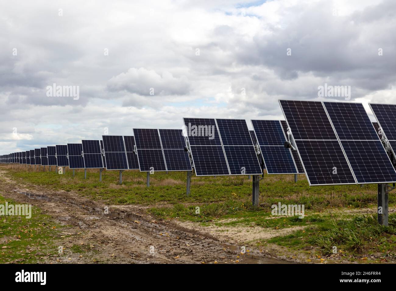 Solar farm, Mid-Michigan, USA, di James D Coppinger/Dembinsky Photo Assoc Foto Stock