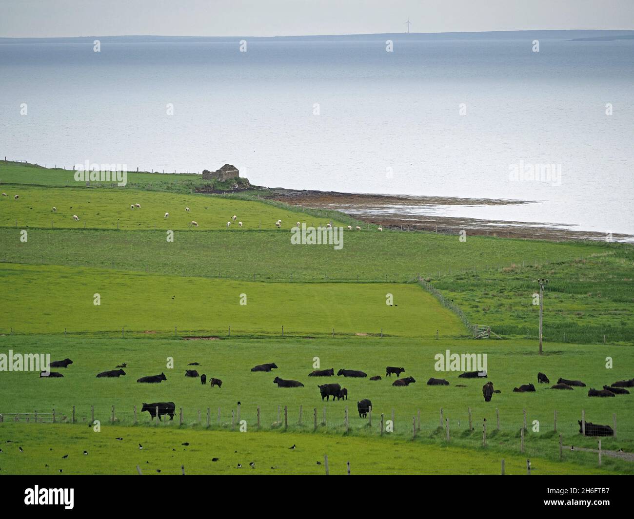 Immagine paesaggistica di edifici in rovina e campi verdi su promontorio con mare d'argento e isole lontane oltre la costa settentrionale di Mainland, Orkney, Scozia, Regno Unito Foto Stock