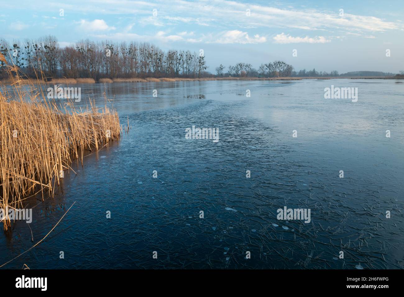 Un lago gelido con canne e nuvole sul cielo, Stankow, Polonia Foto Stock