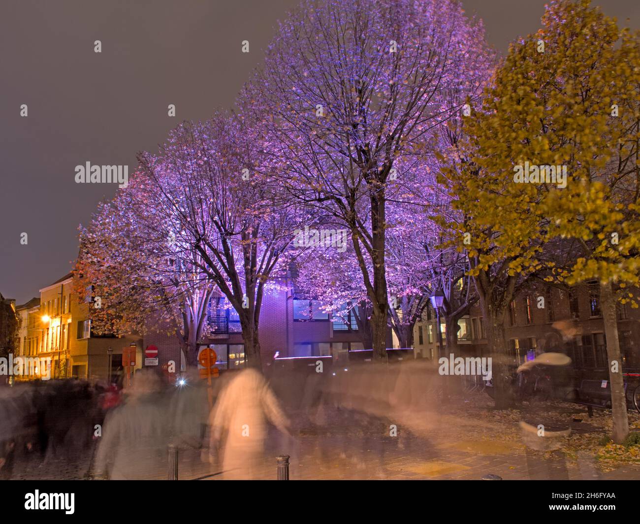 «entità di still», parte del festival della luce di Gand 2021. Alberi e case in luce colorata di notte Foto Stock