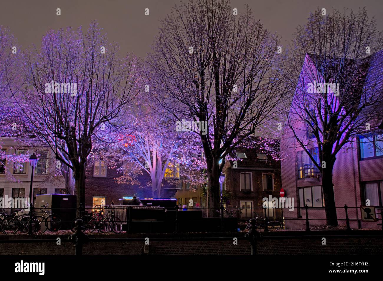 «entità di still», parte del festival della luce di Gand 2021. Alberi e case in luce colorata di notte Foto Stock