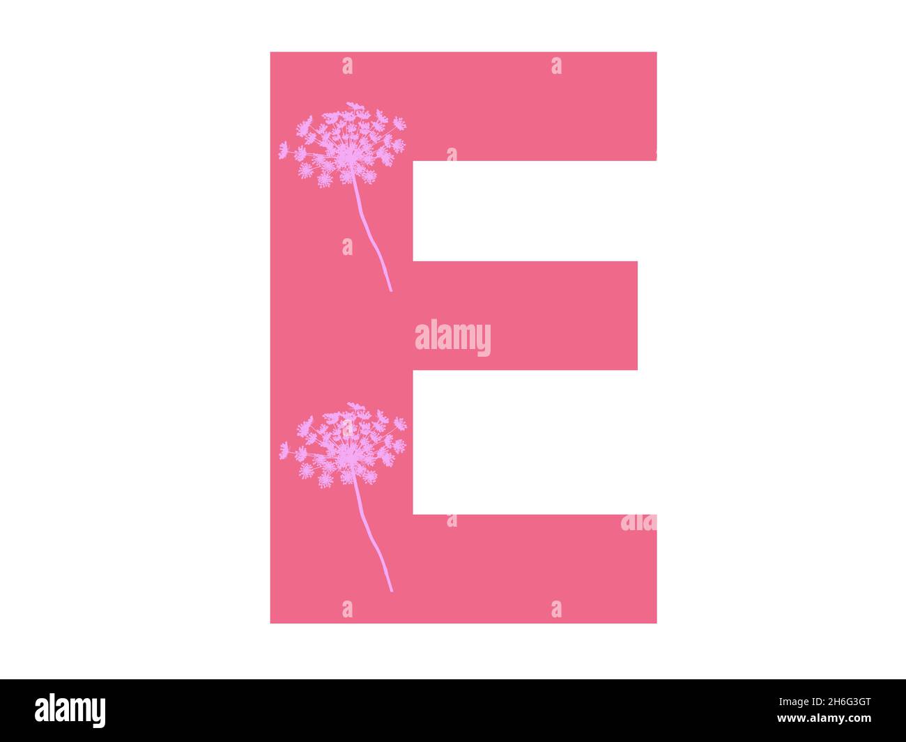 Lettera e dell'alfabeto realizzata con una silhouette di fiori rosa su sfondo rosa scuro, la lettera è isolata su sfondo bianco Foto Stock