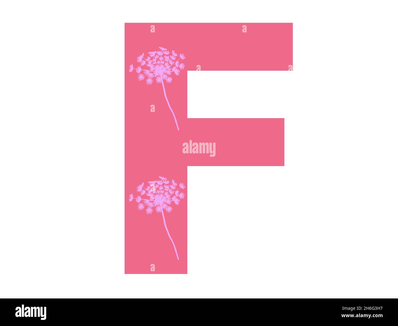 Lettera F dell'alfabeto realizzata con una silhouette di fiori rosa su sfondo rosa scuro, la lettera è isolata su sfondo bianco Foto Stock