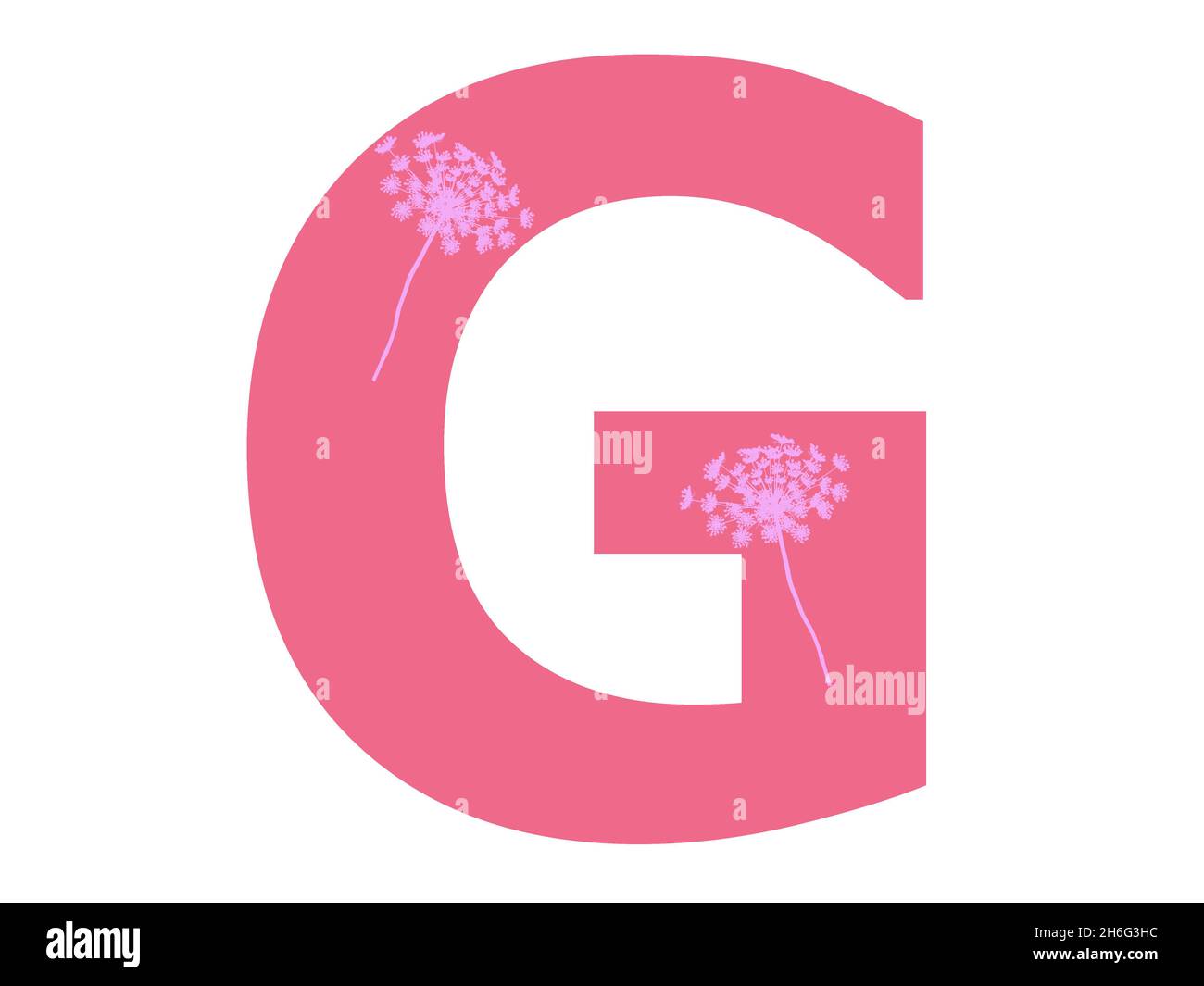Lettera G dell'alfabeto realizzata con una silhouette di fiori rosa su sfondo rosa scuro, la lettera è isolata su sfondo bianco Foto Stock