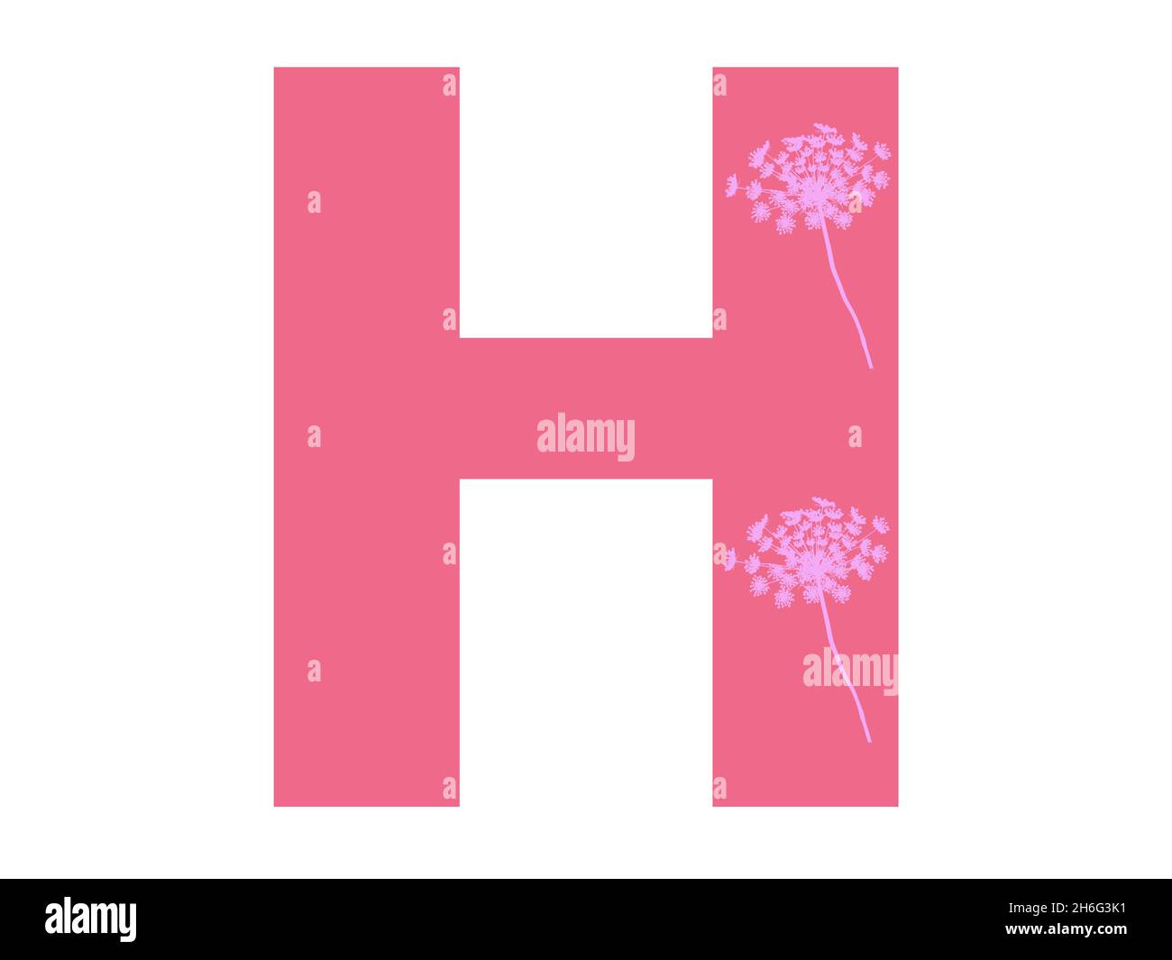 Lettera H dell'alfabeto realizzata con una silhouette di fiori rosa su sfondo rosa scuro, la lettera è isolata su sfondo bianco Foto Stock