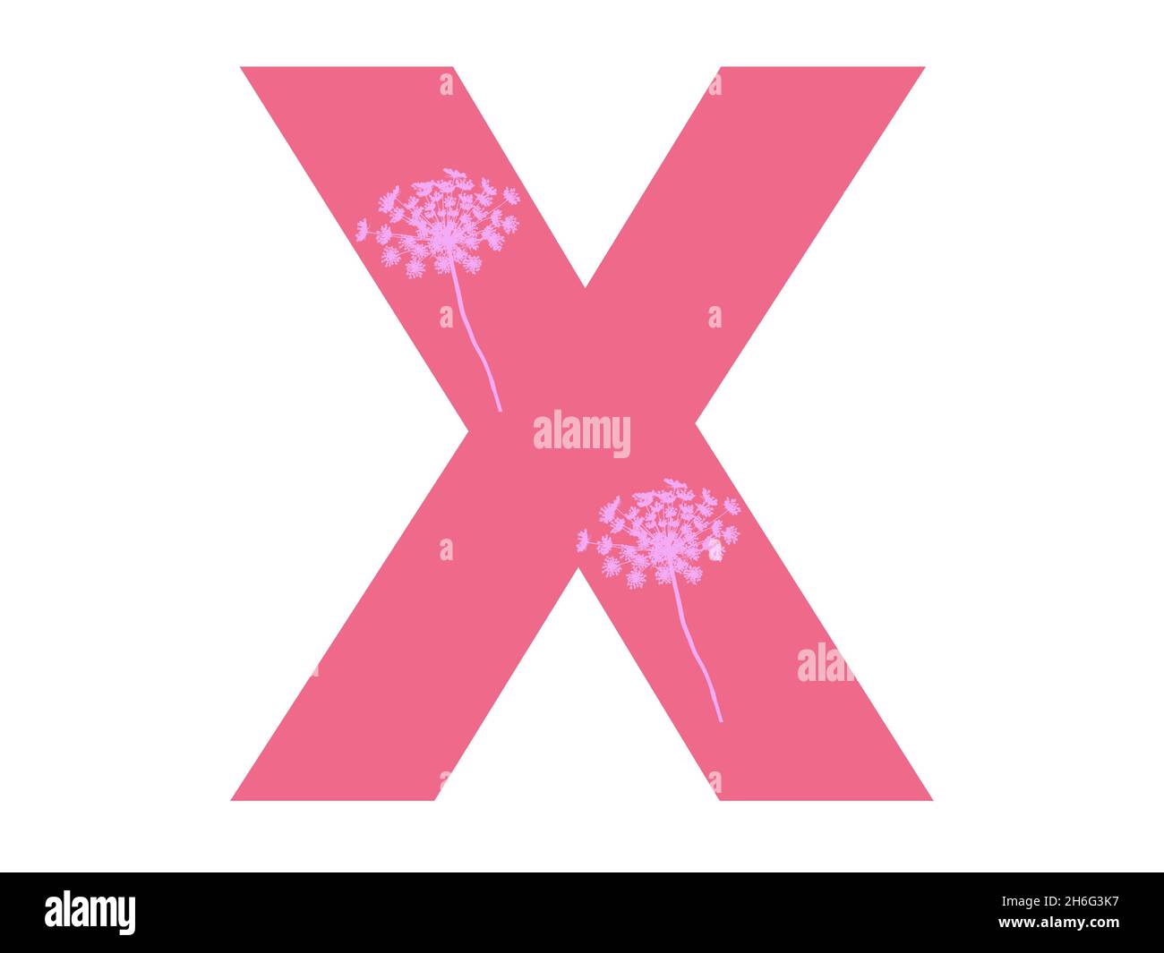 Lettera X dell'alfabeto realizzata con una silhouette di fiori rosa su sfondo rosa scuro, la lettera è isolata su sfondo bianco Foto Stock