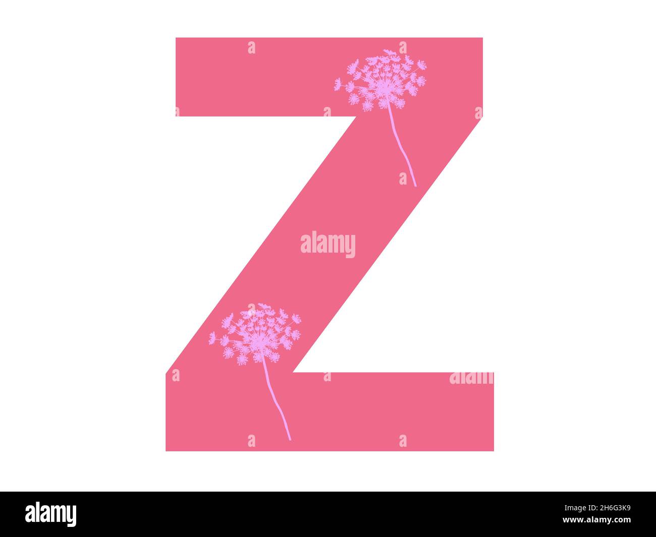 Lettera Z dell'alfabeto realizzato con una silhouette di fiori rosa su sfondo rosa scuro, la lettera è isolata su sfondo bianco Foto Stock