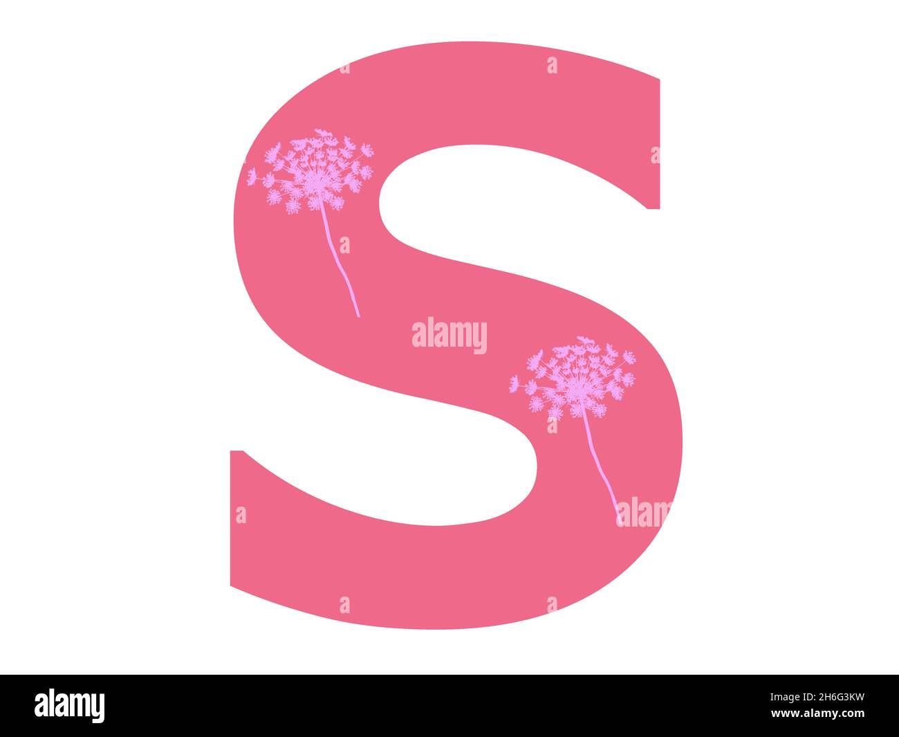Lettera S dell'alfabeto realizzata con una silhouette di fiori rosa su sfondo rosa scuro, la lettera è isolata su sfondo bianco Foto Stock