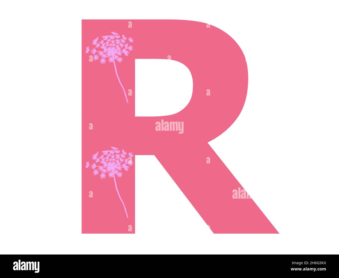 Lettera R dell'alfabeto realizzata con una silhouette di fiori rosa su sfondo rosa scuro, la lettera è isolata su sfondo bianco Foto Stock