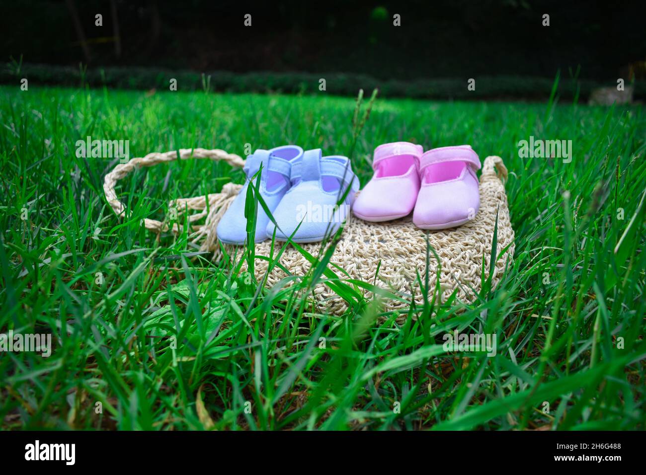 Scarpe per bambini rosa e blu su un sacchetto di vimini su erba verde fresca Foto Stock