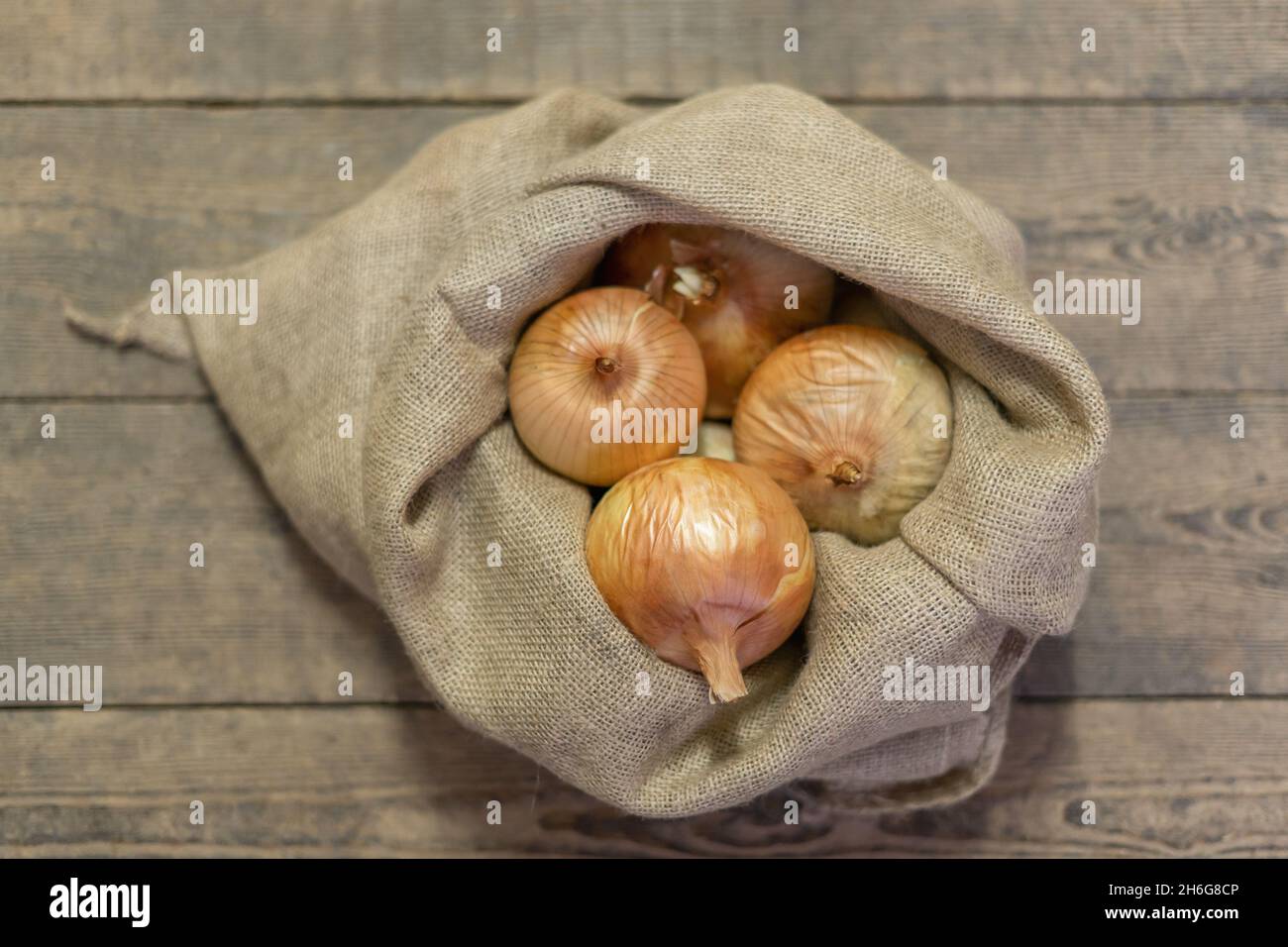 Cipolle dorate biologiche fresche in jute bag.Onion raccolto, cibo sano, sfondo di verdure Foto Stock