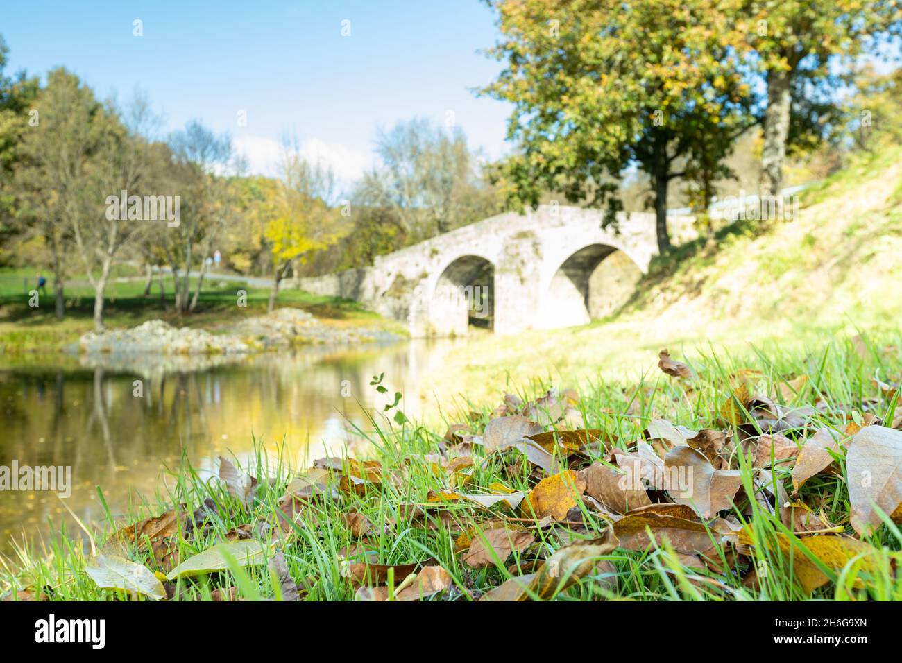 Castañar de Hermisende, Zamora Foto Stock