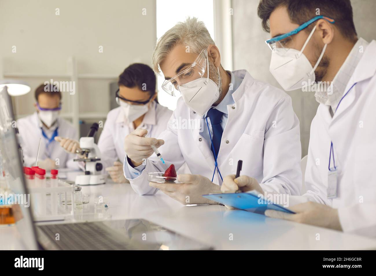 Esperto di controllo della qualità degli alimenti che ispeziona la fragola sui nitrati in laboratorio Foto Stock