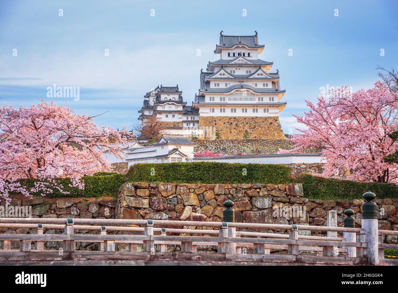 Himeji, Giappone presso il castello di Himeji durante la primavera la fioritura dei ciliegi stagione. Foto Stock