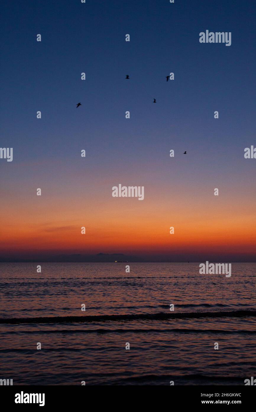 Bellissimo tramonto astratto a Ayr Beach durante l'estate scozzese con uccelli che volano attraverso il mare / oceano Foto Stock