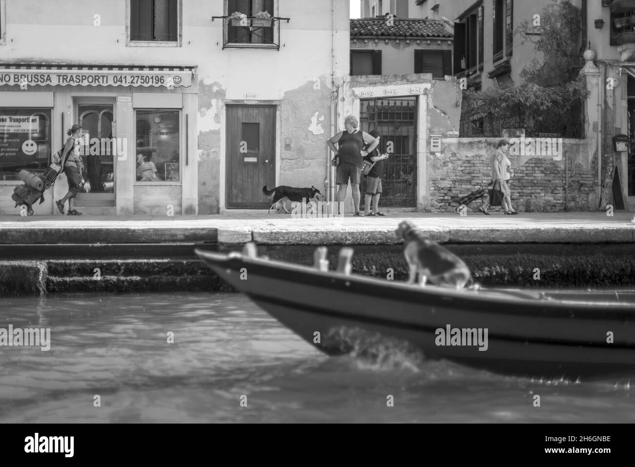 Viaggiando per i canali di Venezia con un cane Foto Stock