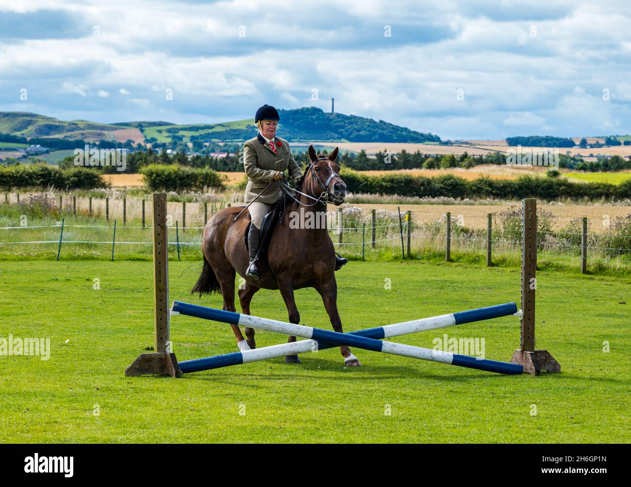 Spettacolo estivo di cavalli con un cavallo che rifiuta di saltare sopra un salto di cavalli, East Lothian, Scozia, Regno Unito Foto Stock