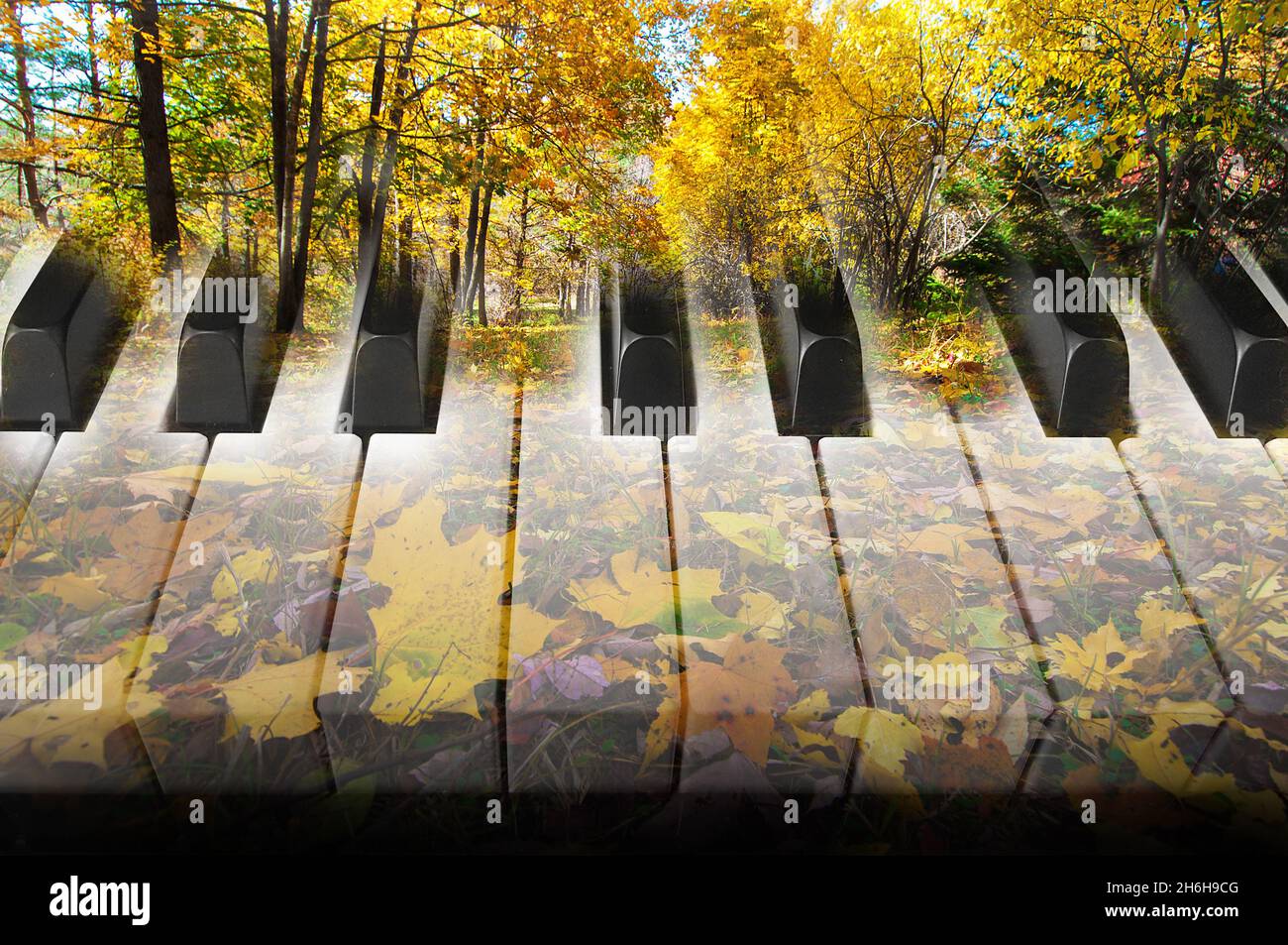 foto d'arte doppia esposizione con tasti pianoforte e foglie d'acero autunnale 1 Foto Stock