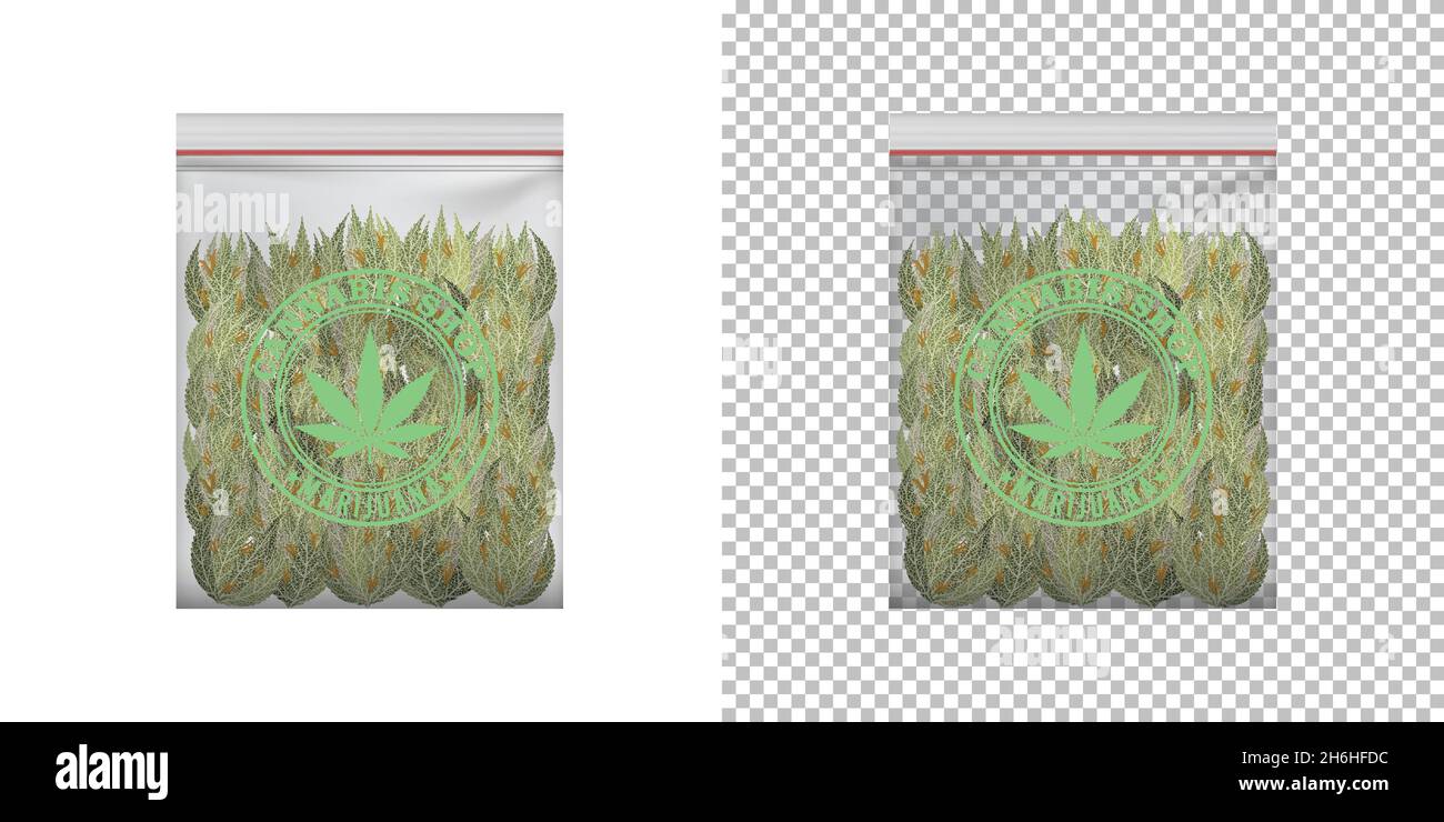 Germogli marijuana di cannabis realistici in sacchetto di plastica, mockup di imballaggio, in formato vettoriale Illustrazione Vettoriale