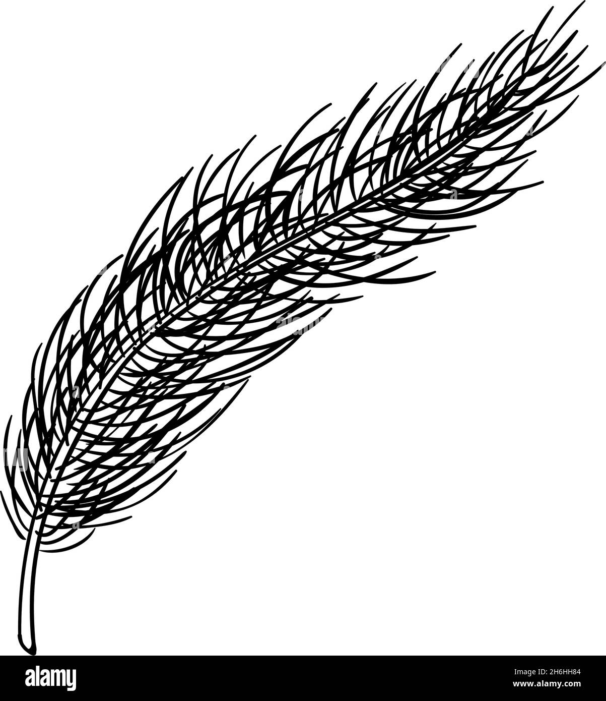 Illustrazione disegnata a mano di ramo di pino. Natale inverno inchiostro vettore Doodles Illustrazione Vettoriale