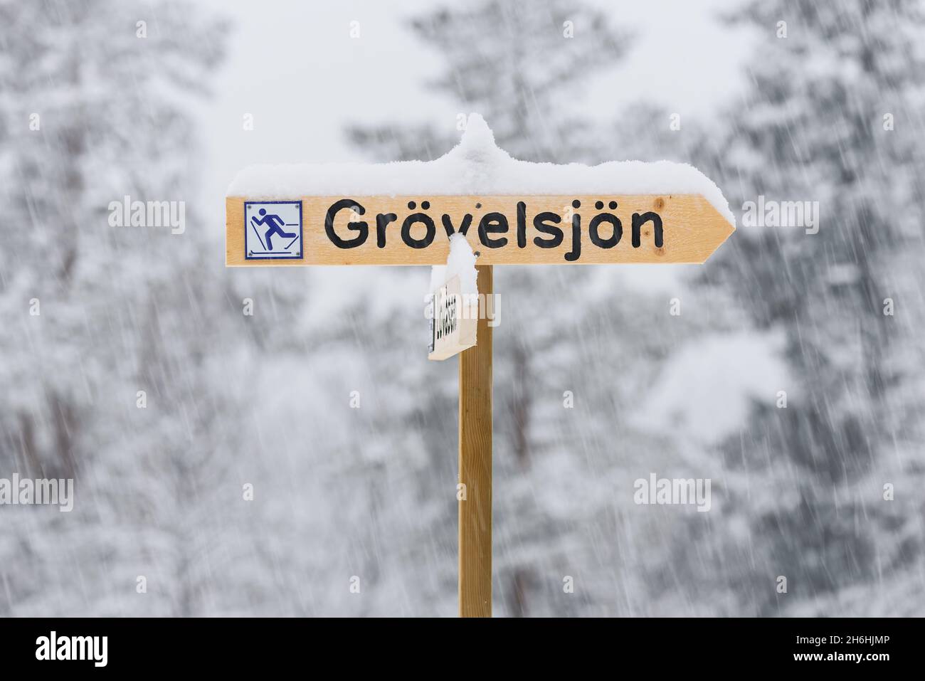 Insegna sci di fondo in Svezia Foto Stock