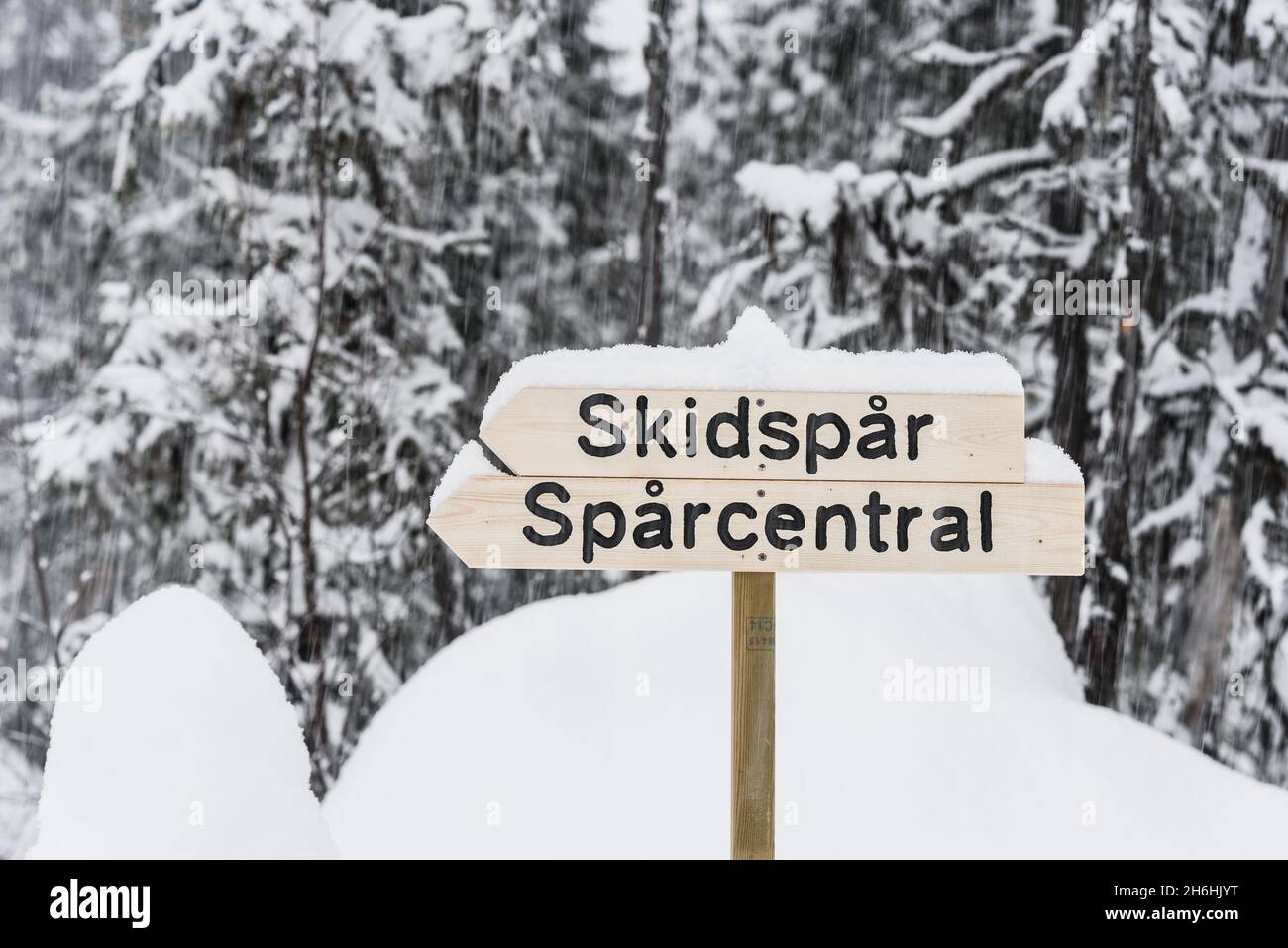 Insegna sci di fondo in Svezia Foto Stock