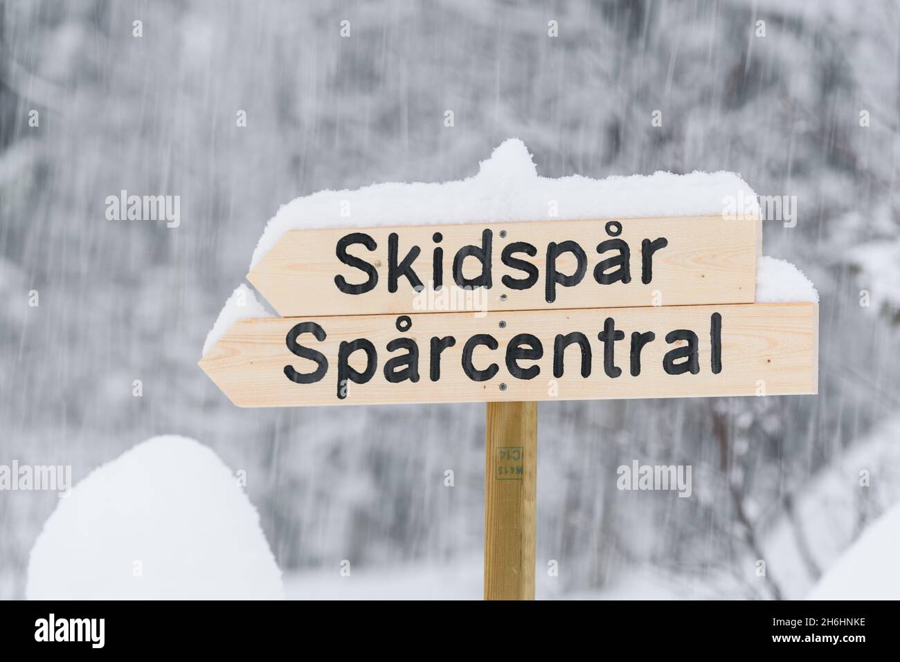 Insegna sci di fondo in Svezia Foto Stock