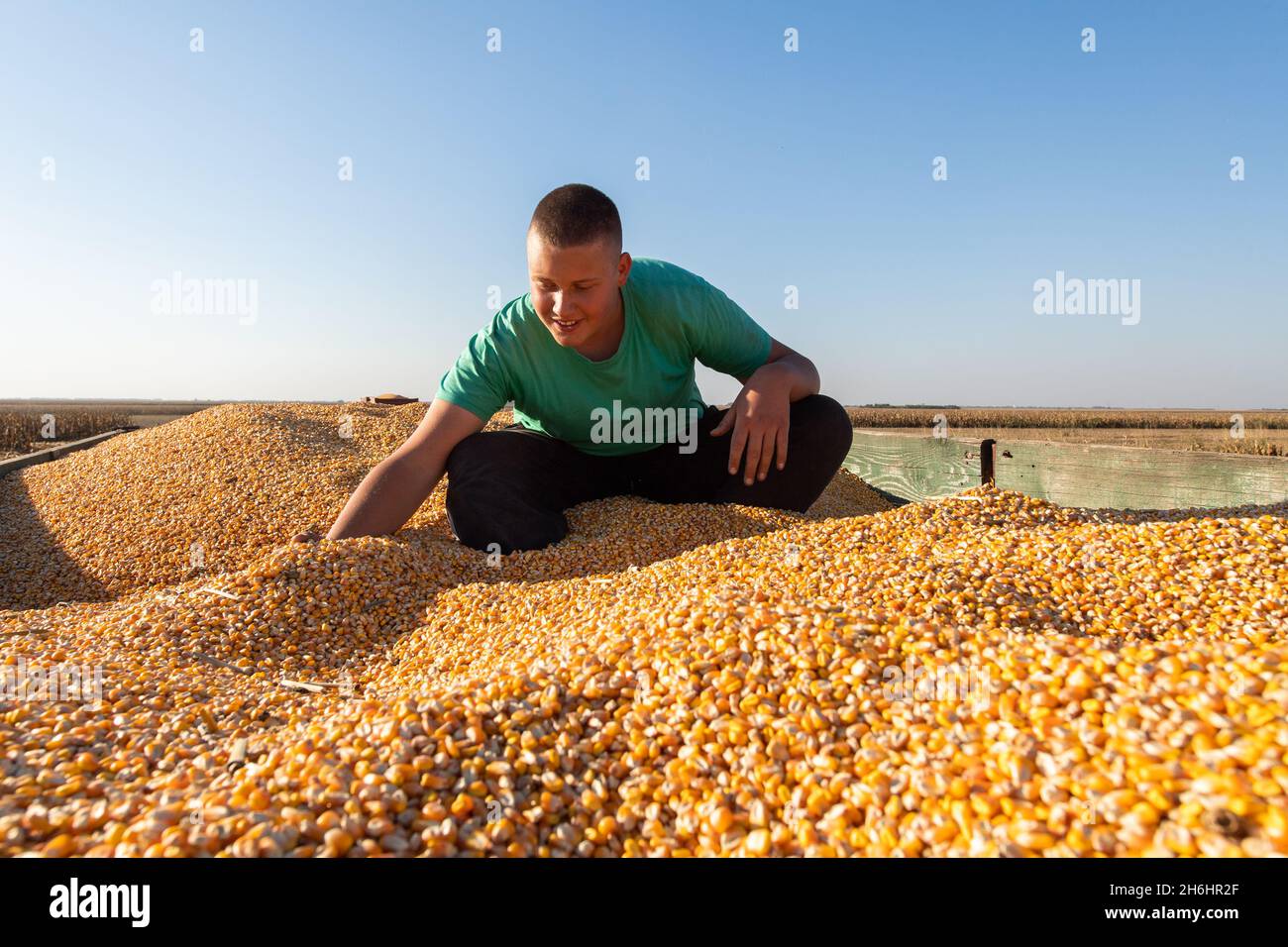 Ritratto contadino maschio con mais, uomo sorridente raccolta Foto Stock