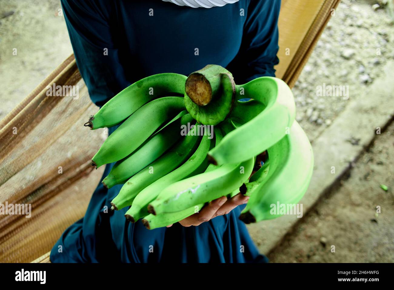 Donna musulmana seduta sulla culla della rete e che tiene un mazzo di banana verde Foto Stock