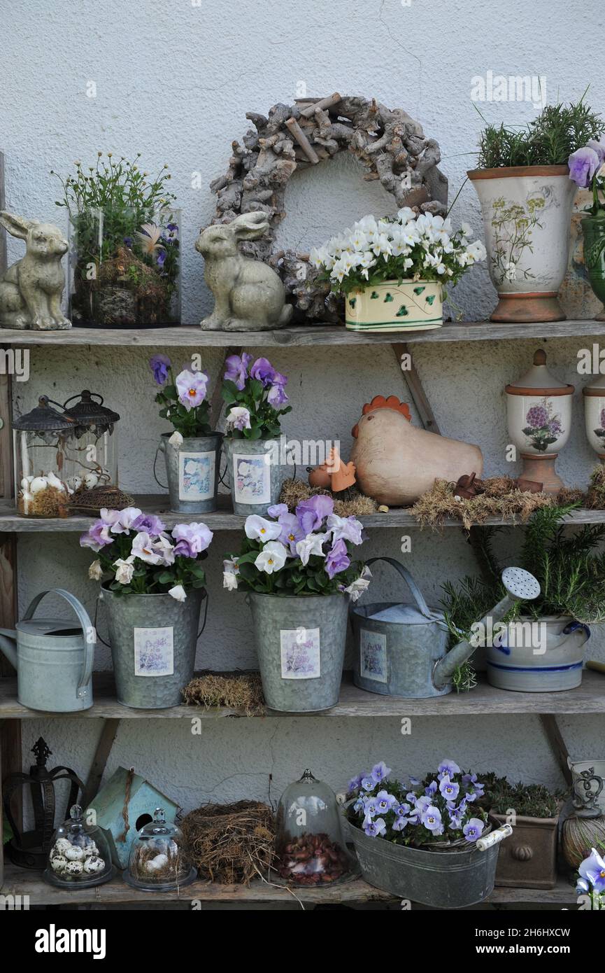 KLEVE, GERMANIA - 24 APRILE 2016: Vignetta giardino nel giardino tedesco Imig-Gerold nel mese di aprile Foto Stock