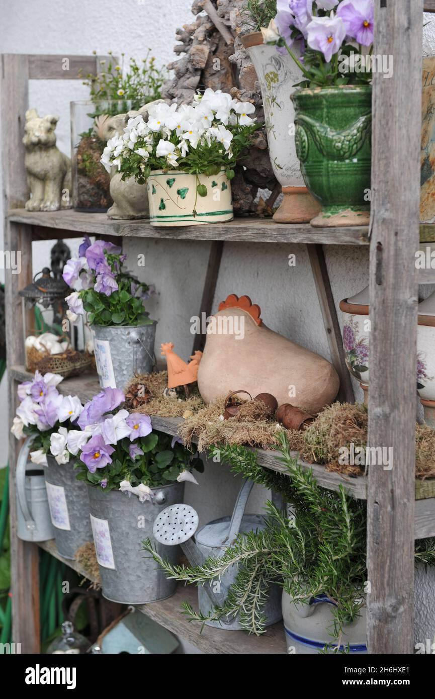 KLEVE, GERMANIA - 24 APRILE 2016: Vignetta giardino nel giardino tedesco Imig-Gerold nel mese di aprile Foto Stock