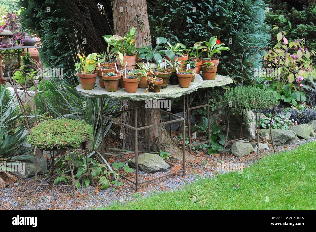 SOLINGEN, GERMANIA - 05 OTTOBRE 2014: Decorazione del giardino tedesco Ulbrich nel mese di ottobre Foto Stock