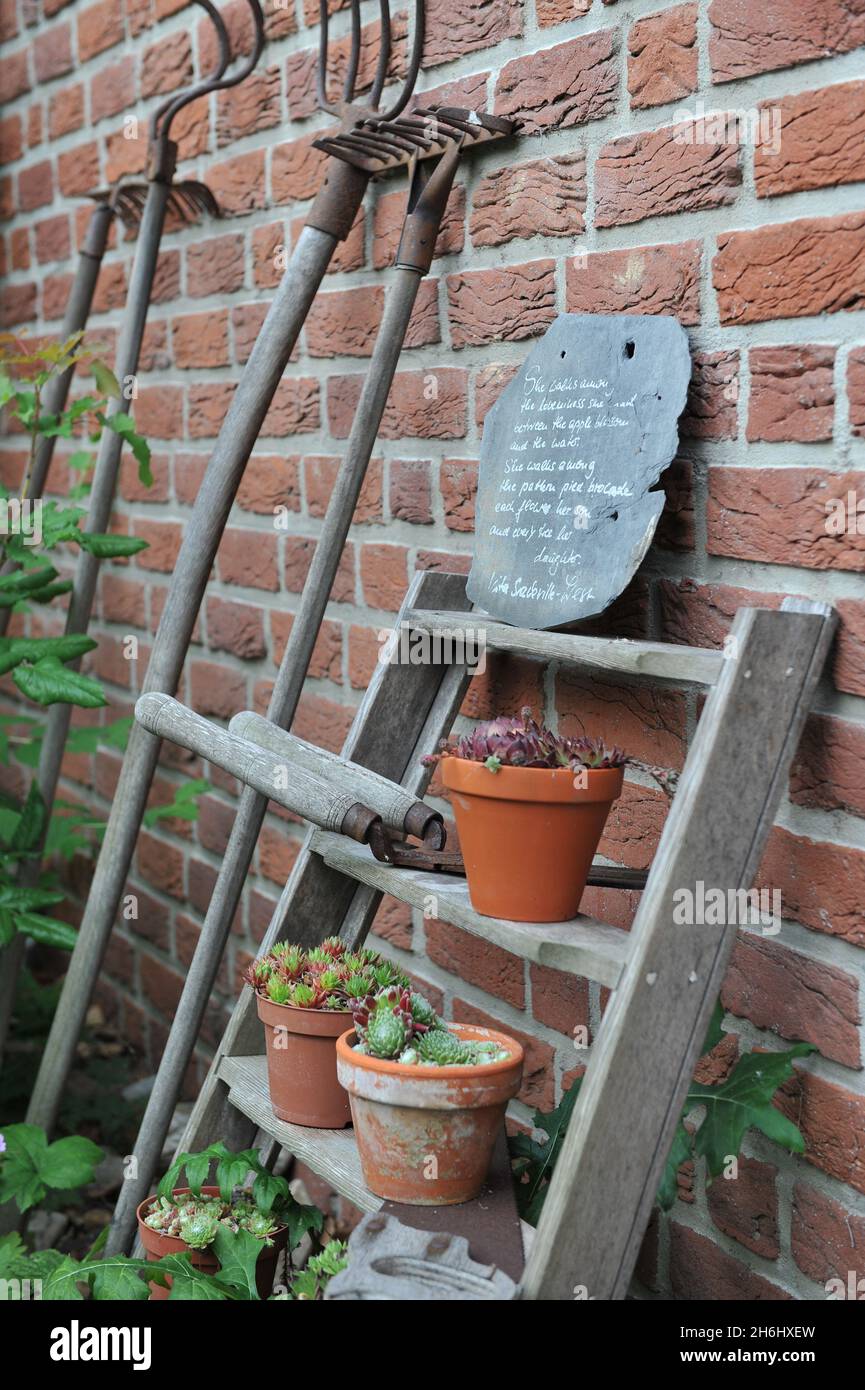 LIPPSTADT, GERMANIA - 09 LUGLIO 2010: Vignetta da giardino nel giardino tedesco di Rendel Barton nel mese di luglio Foto Stock