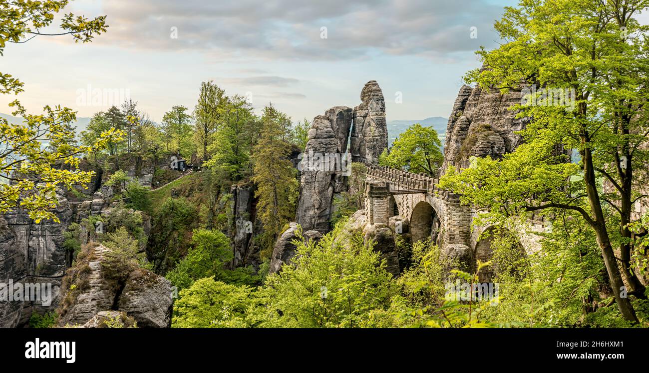 Panorama della formazione rocciosa di Bastei in estate, Svizzera sassone, Sassonia, Germania orientale Foto Stock